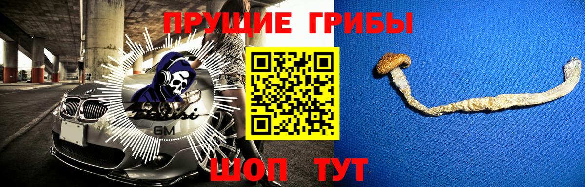 Воронеж  Галлюциногенные грибы GOLDEN TEACHER  Вход с VPN 